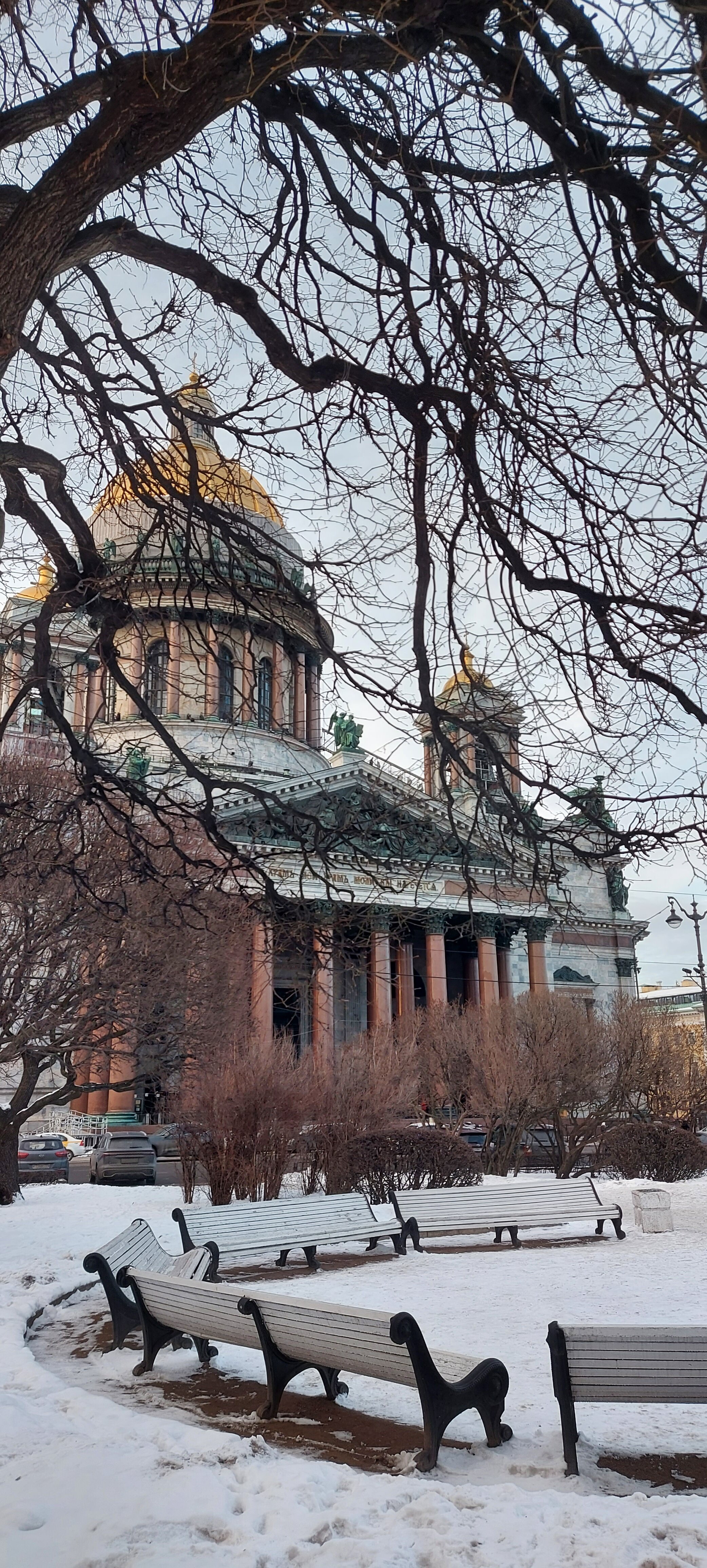 Фото Амиго Syncotel