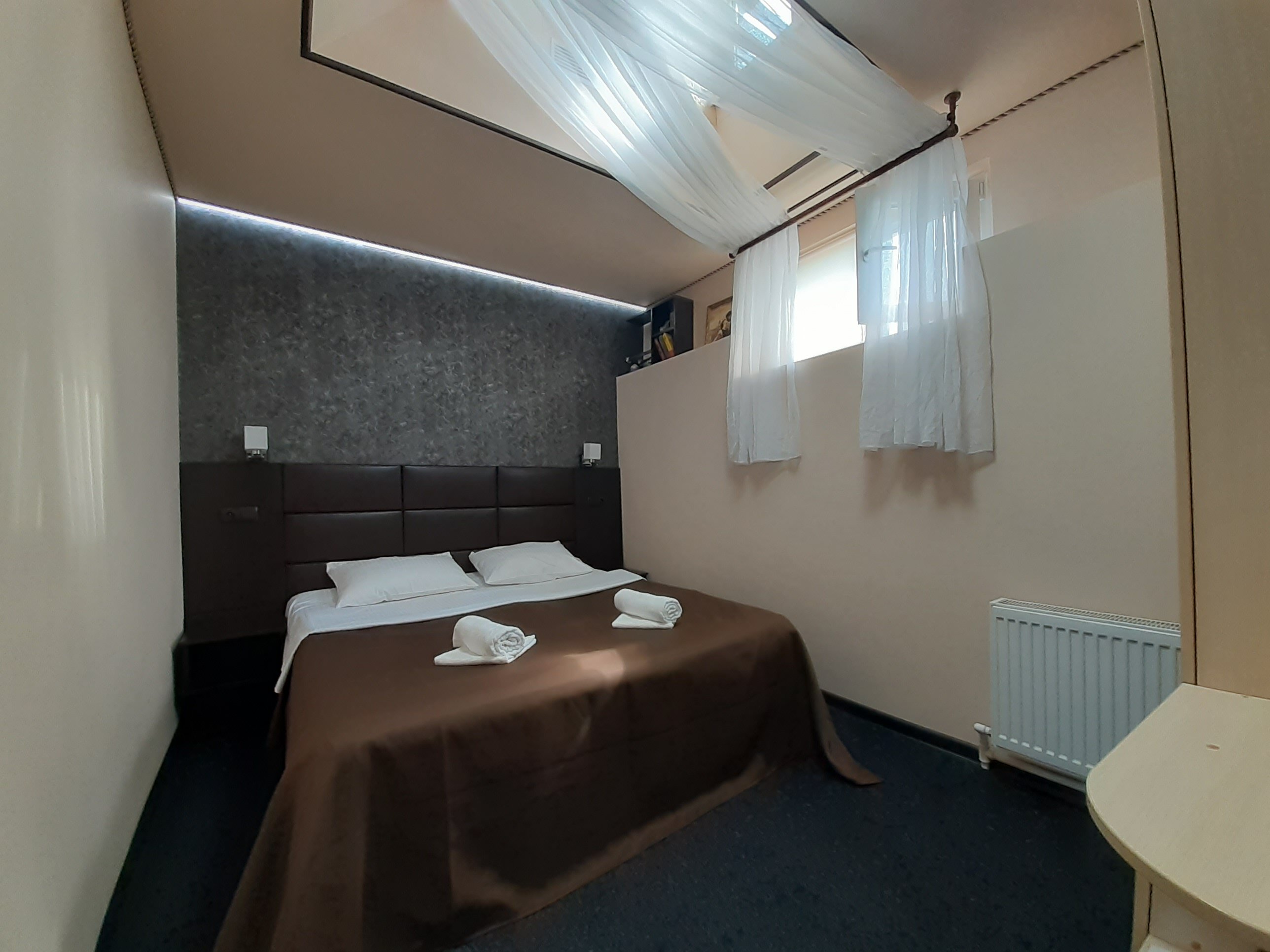 Фото Белая акация