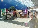 Япония Фест (Vatutina Street, 107) ، منظمو المهرجان