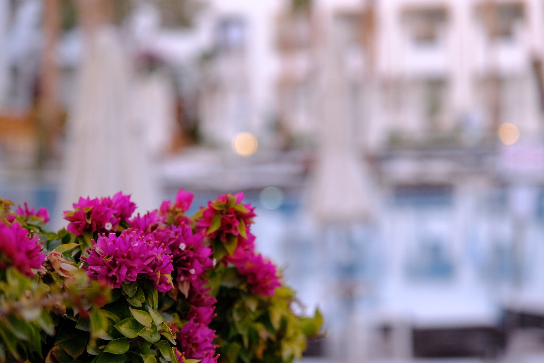 Фото Sunrise Remal Resort