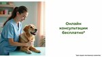 Доктор Рокки (Bolshoy Golovin Lane, 2) ، عيادة بيطرية