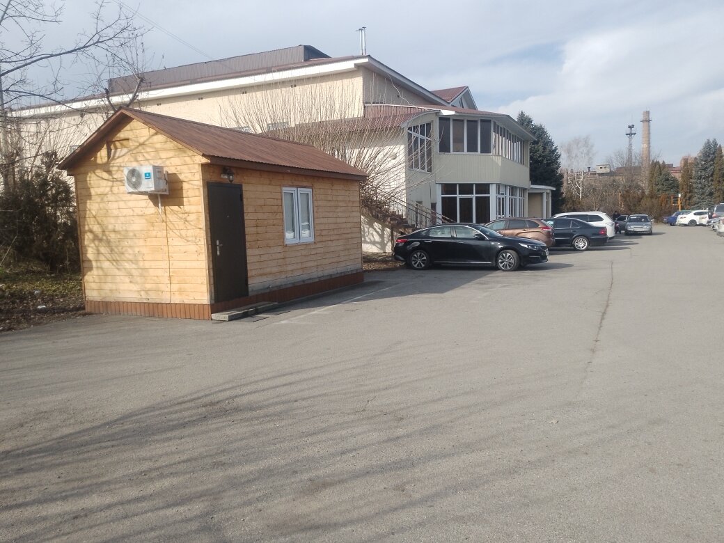 Фото Сакура