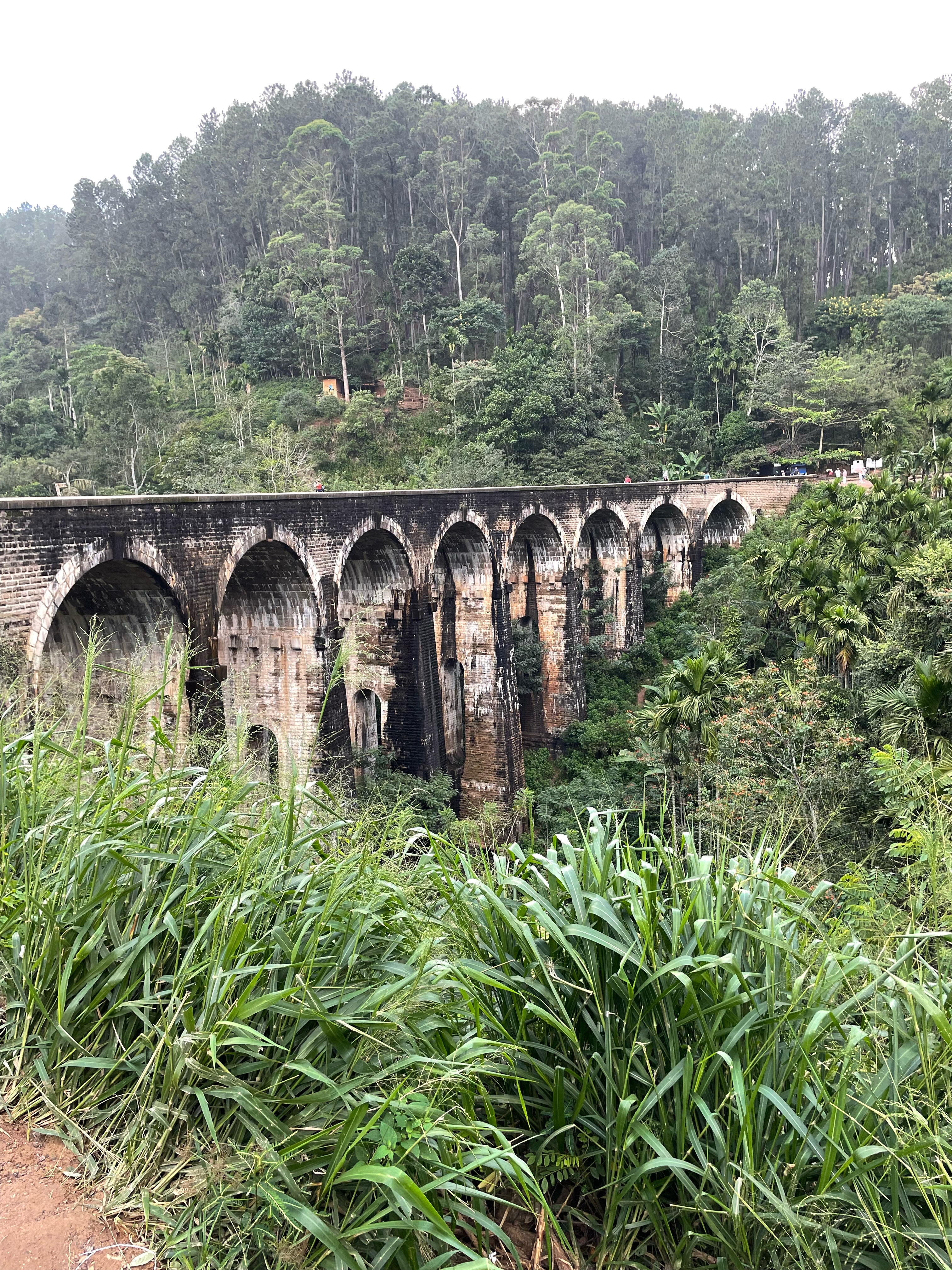 Фото Cinnamon Bey Beruwala