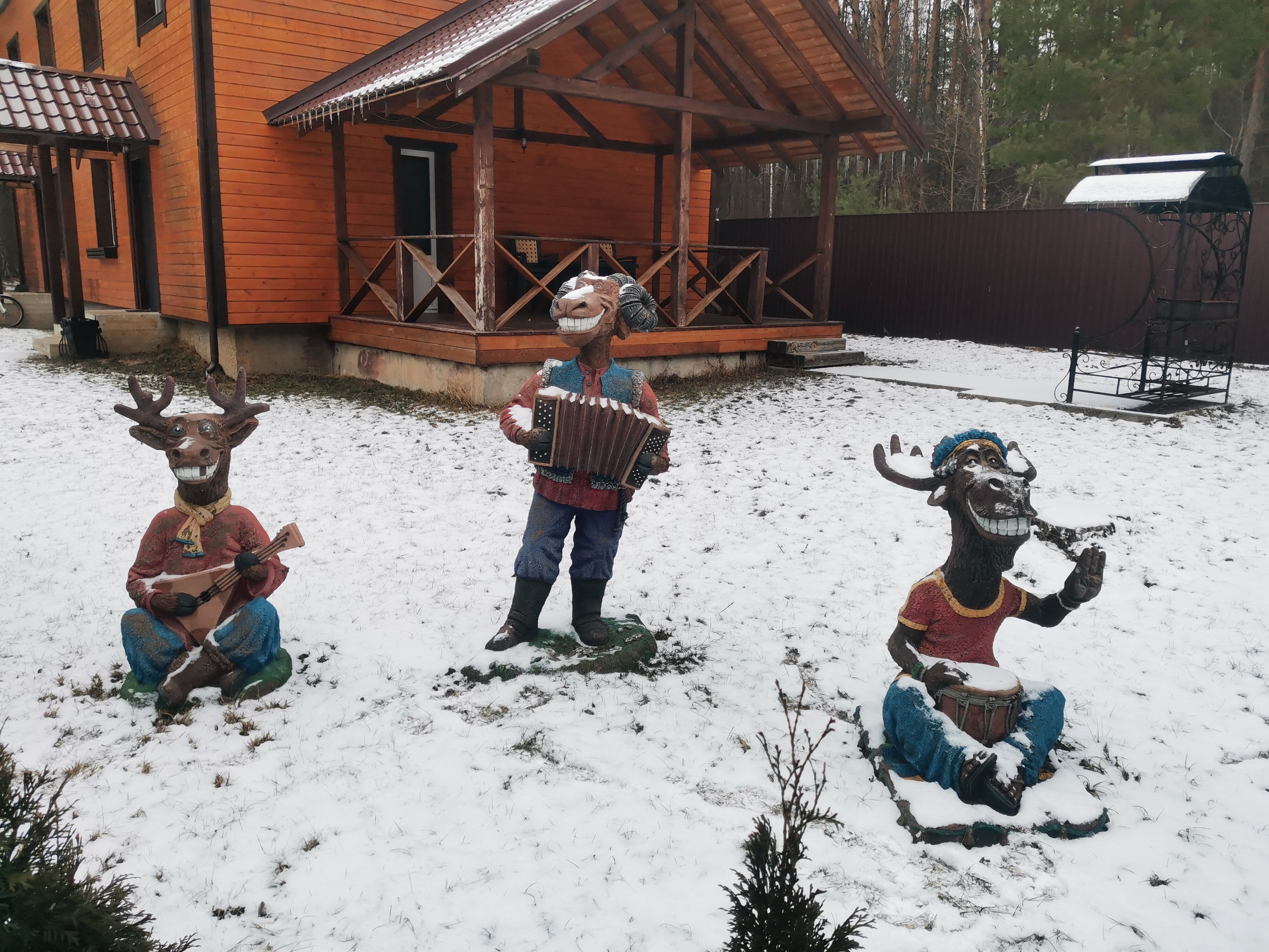 Фото Лесные поляны