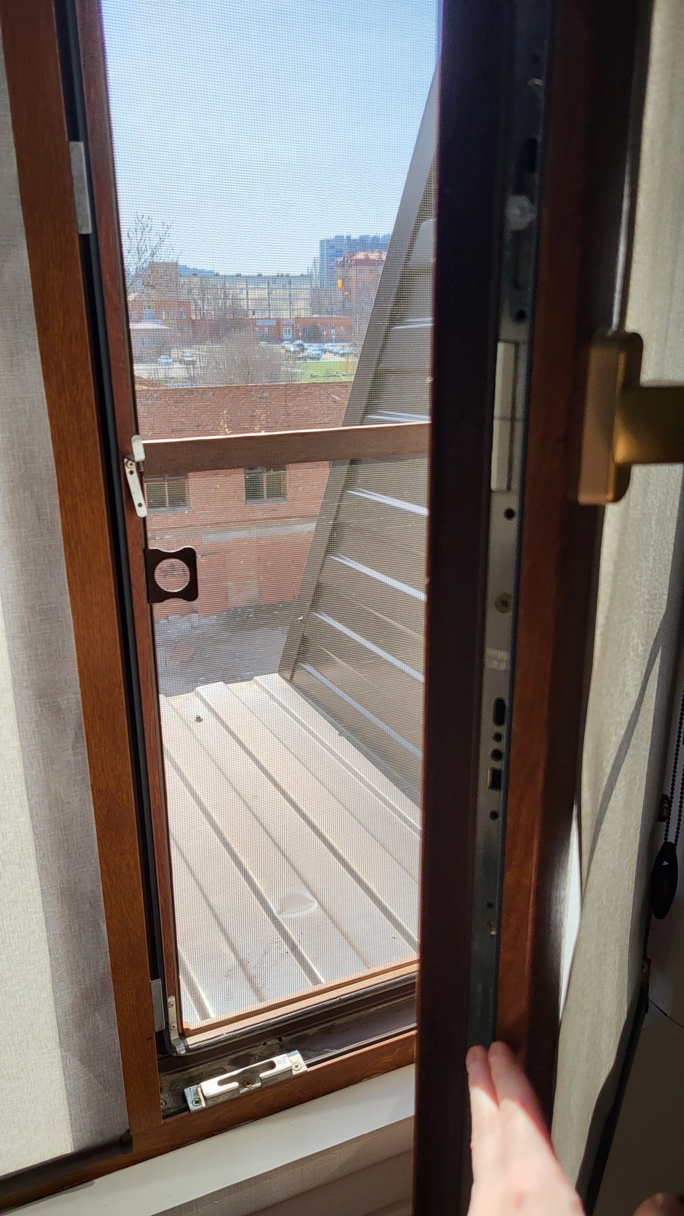 Фото Континент