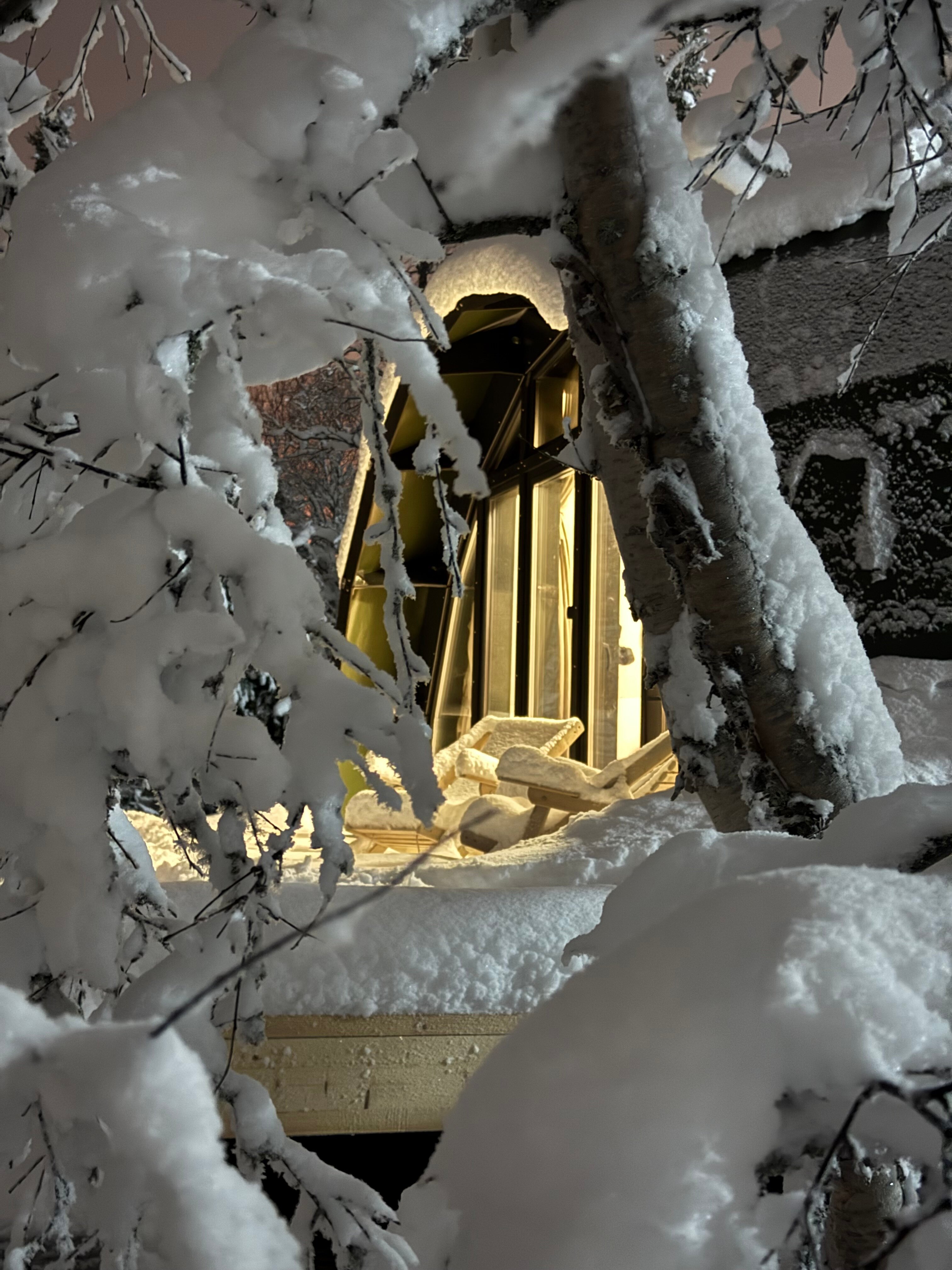 Фото Хаски Кэмп