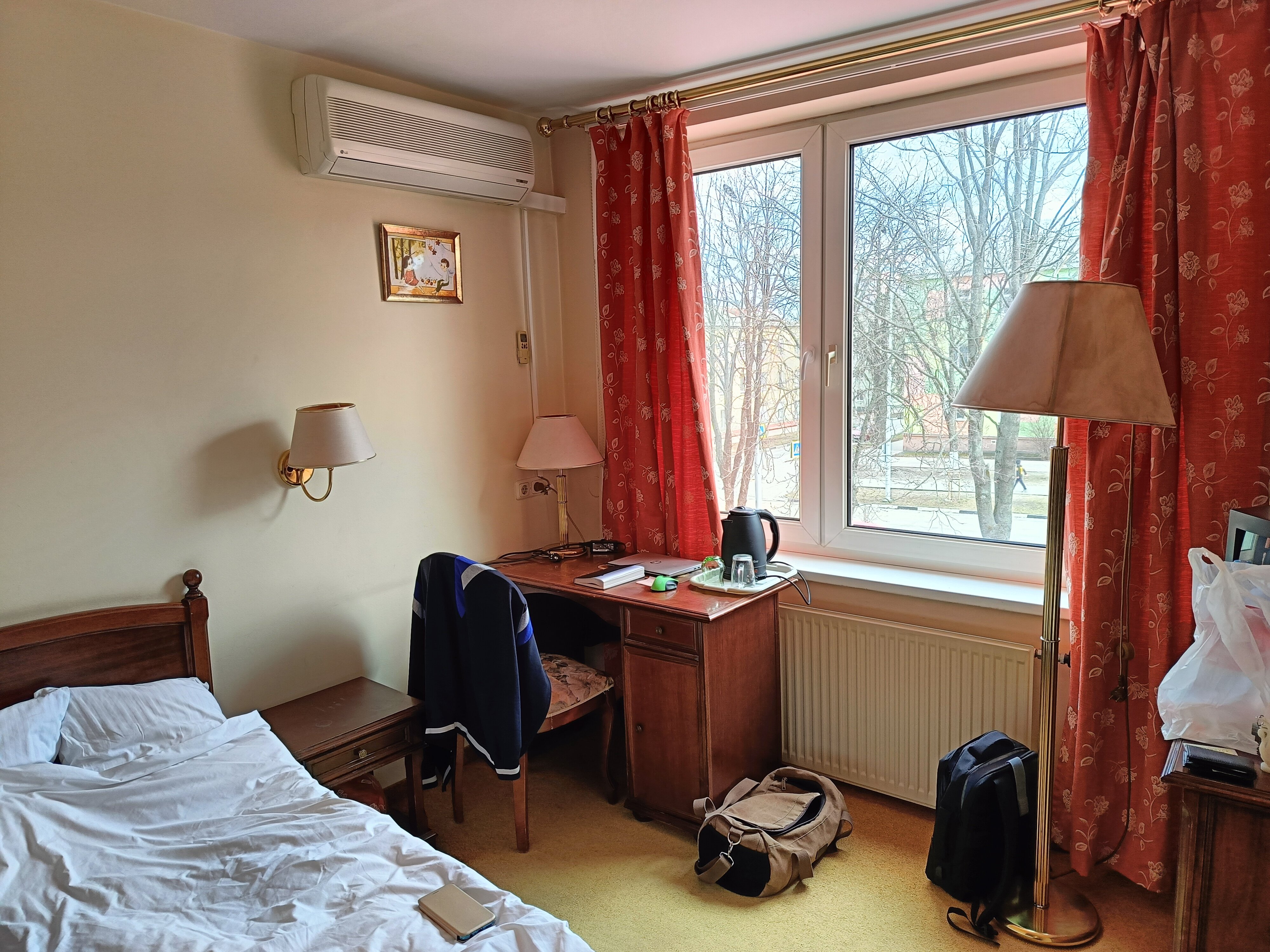 Фото Лебедь