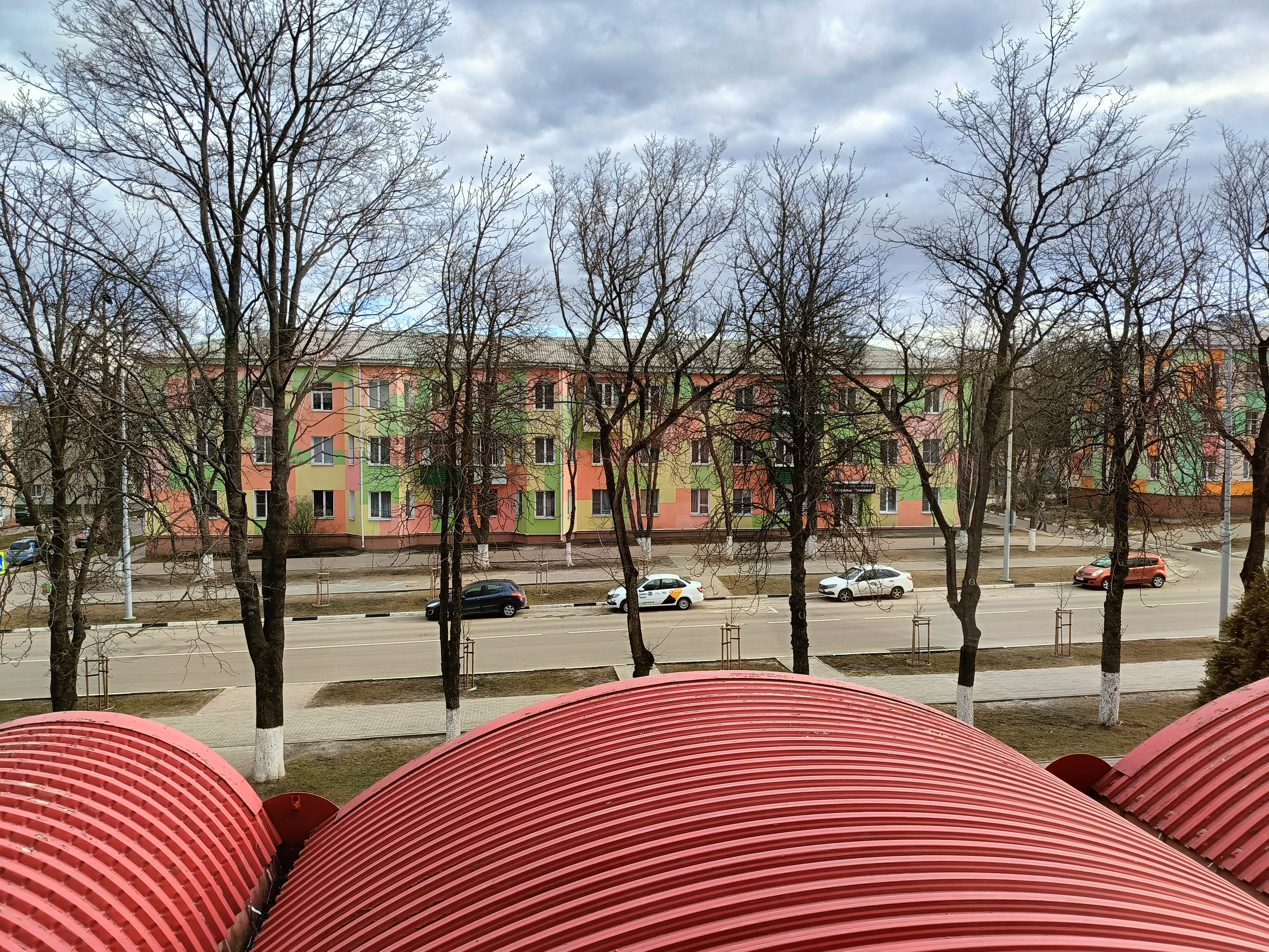 Фото Лебедь