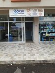 Izmir Goksu Pest Control (Izmir, Karabaglar, Yunus Emre Neighborhood, 4058th Street, 37A), disinfection, disinsection, deratization