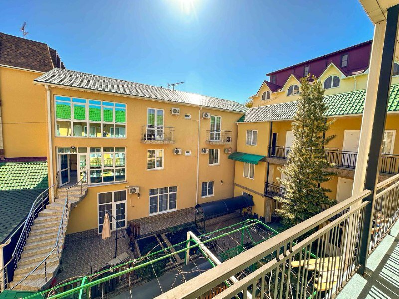 Фото Ромашка