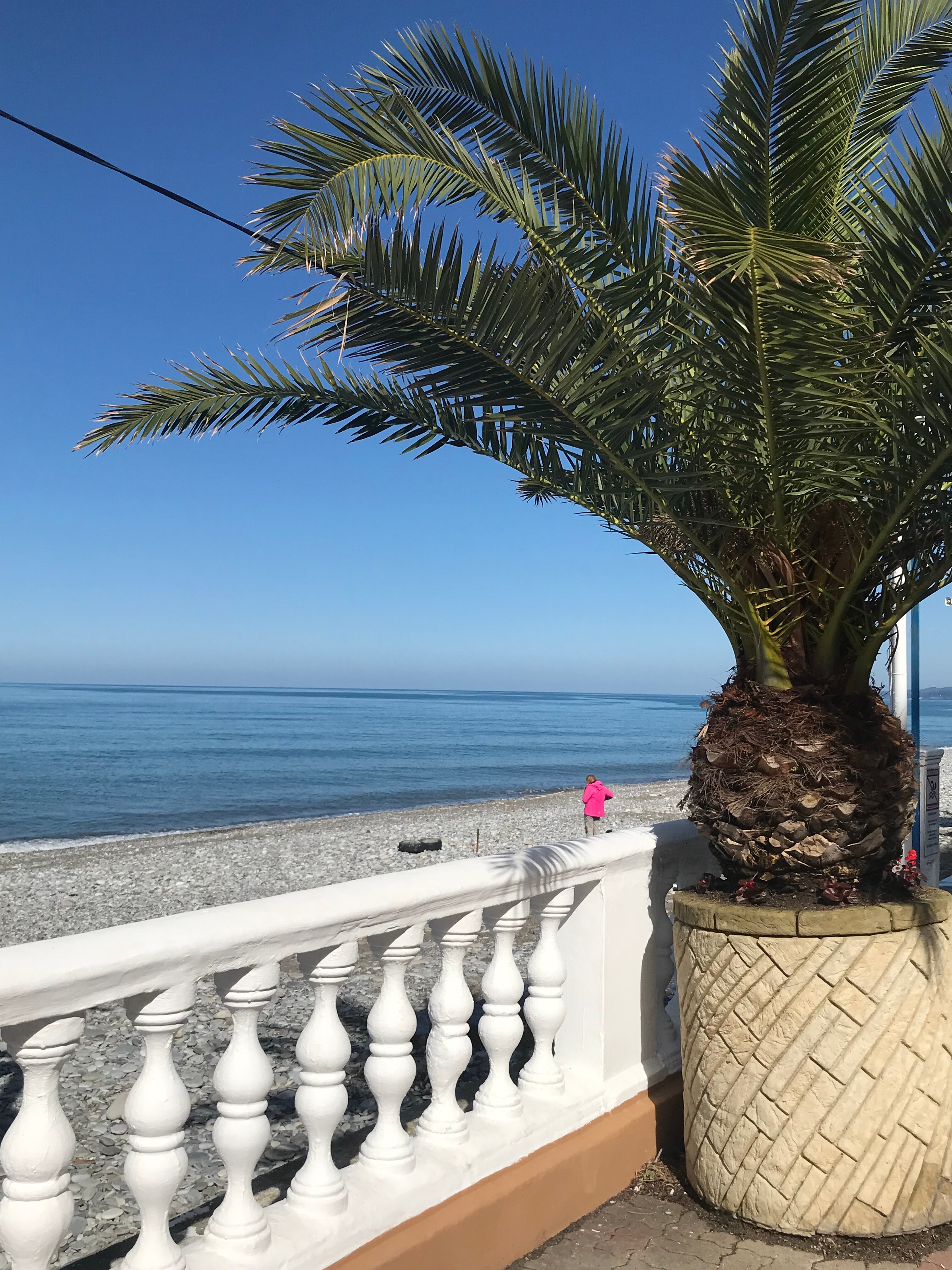 Фото Виктория