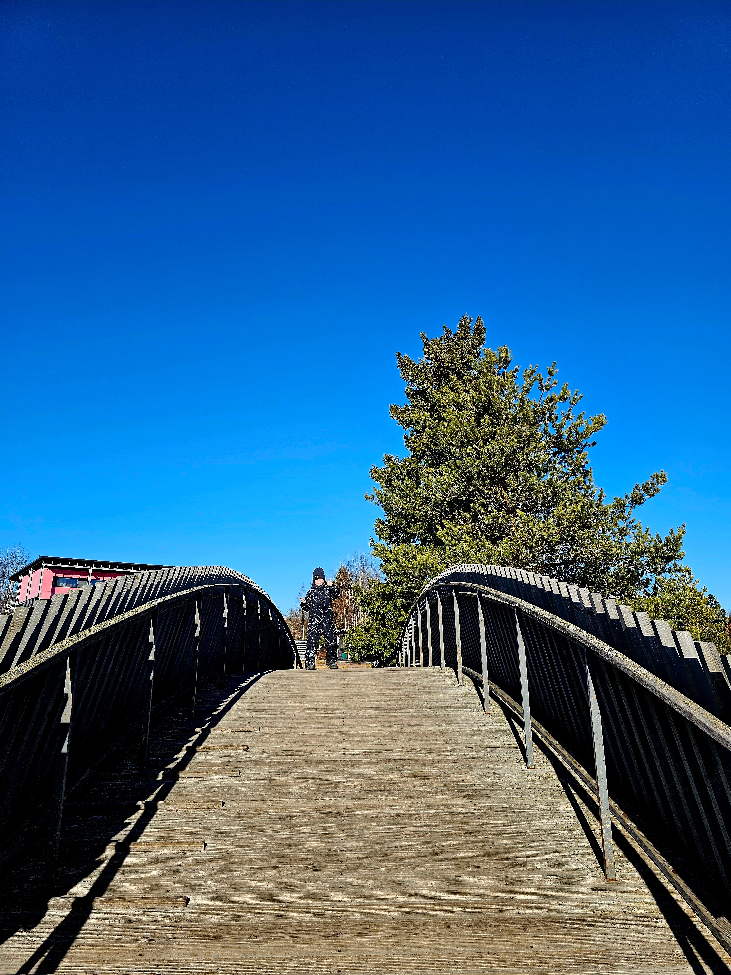 Фото Лавола