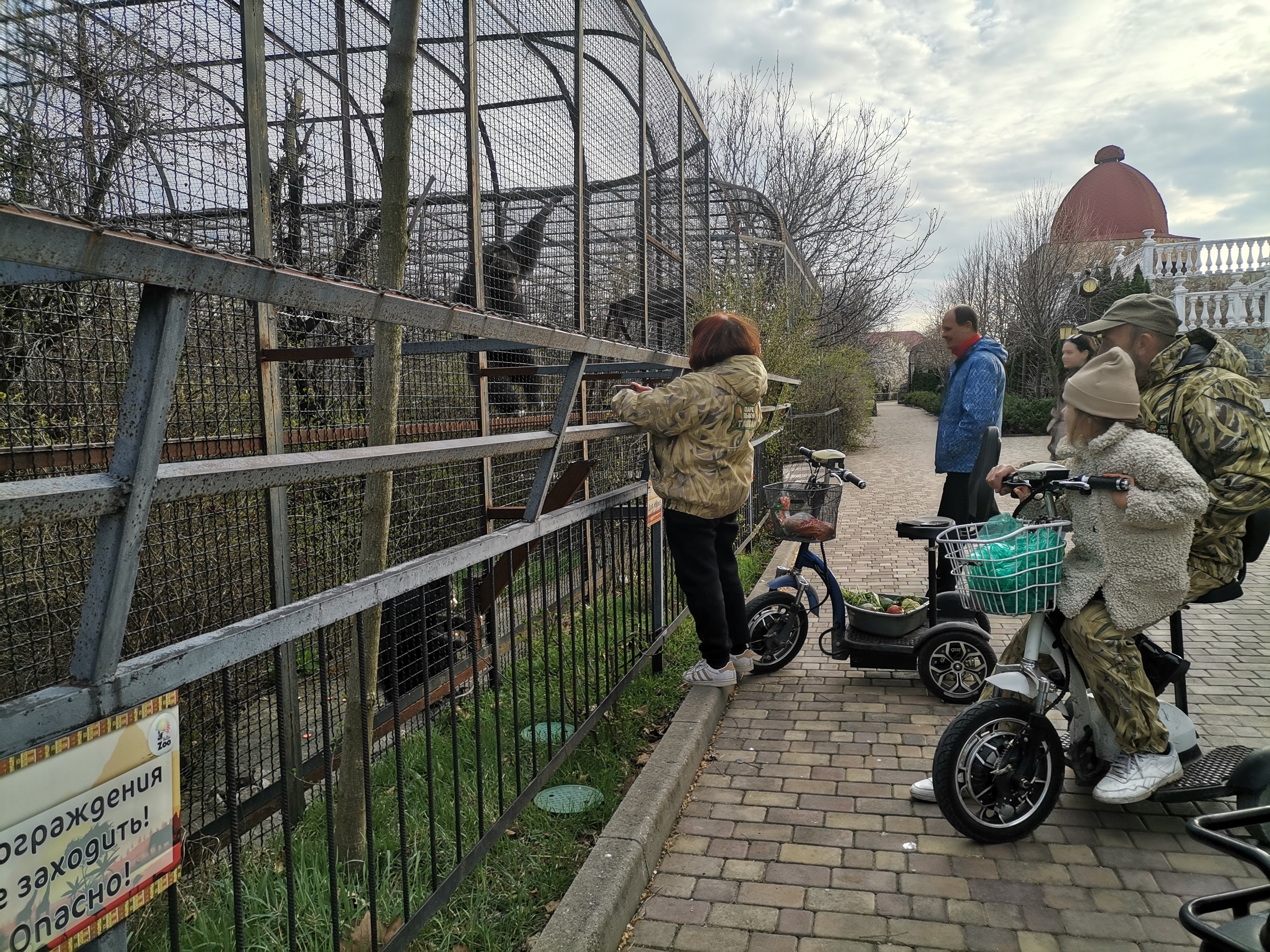 Фото Мартон Лион