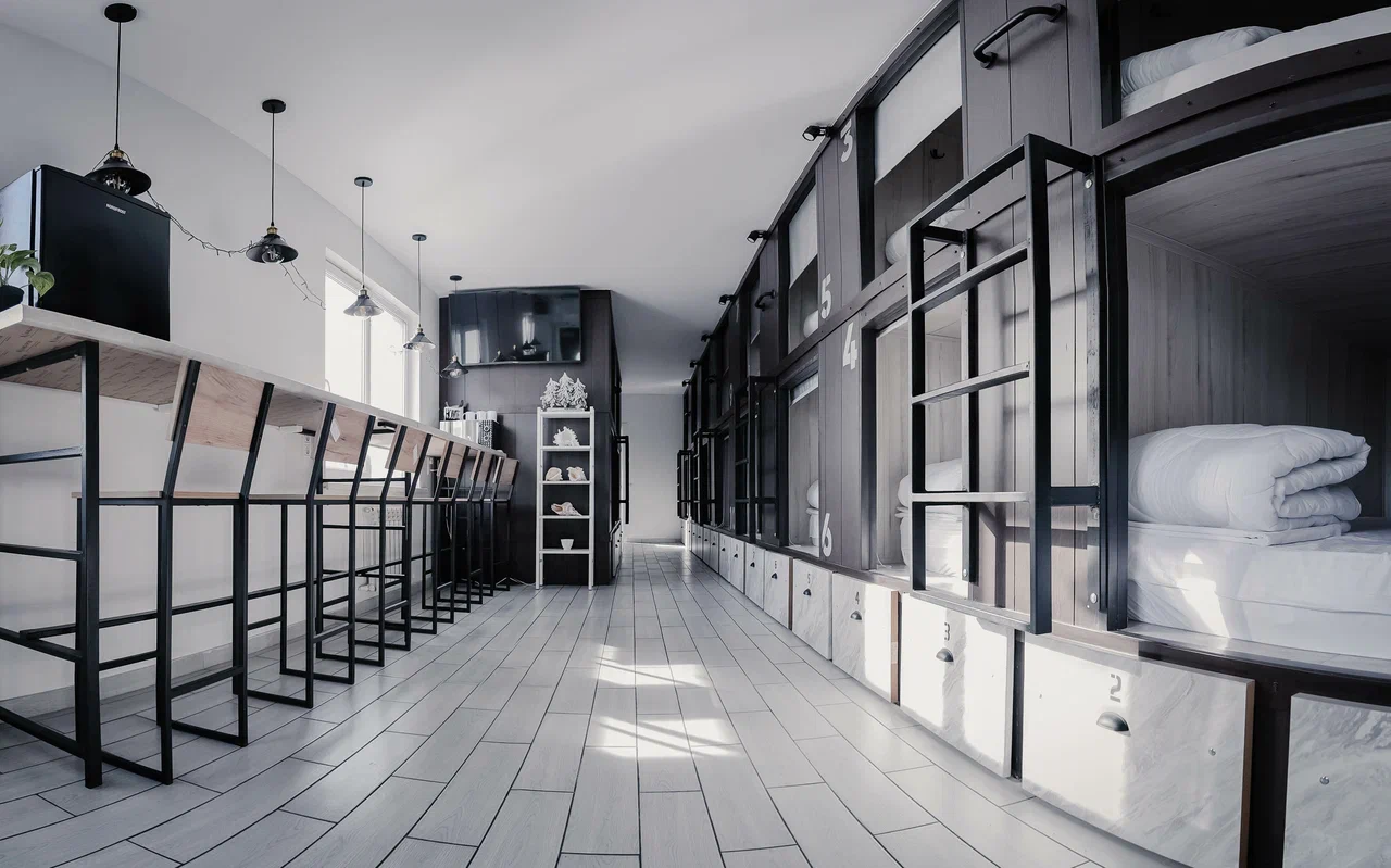 Фото Старый Лис