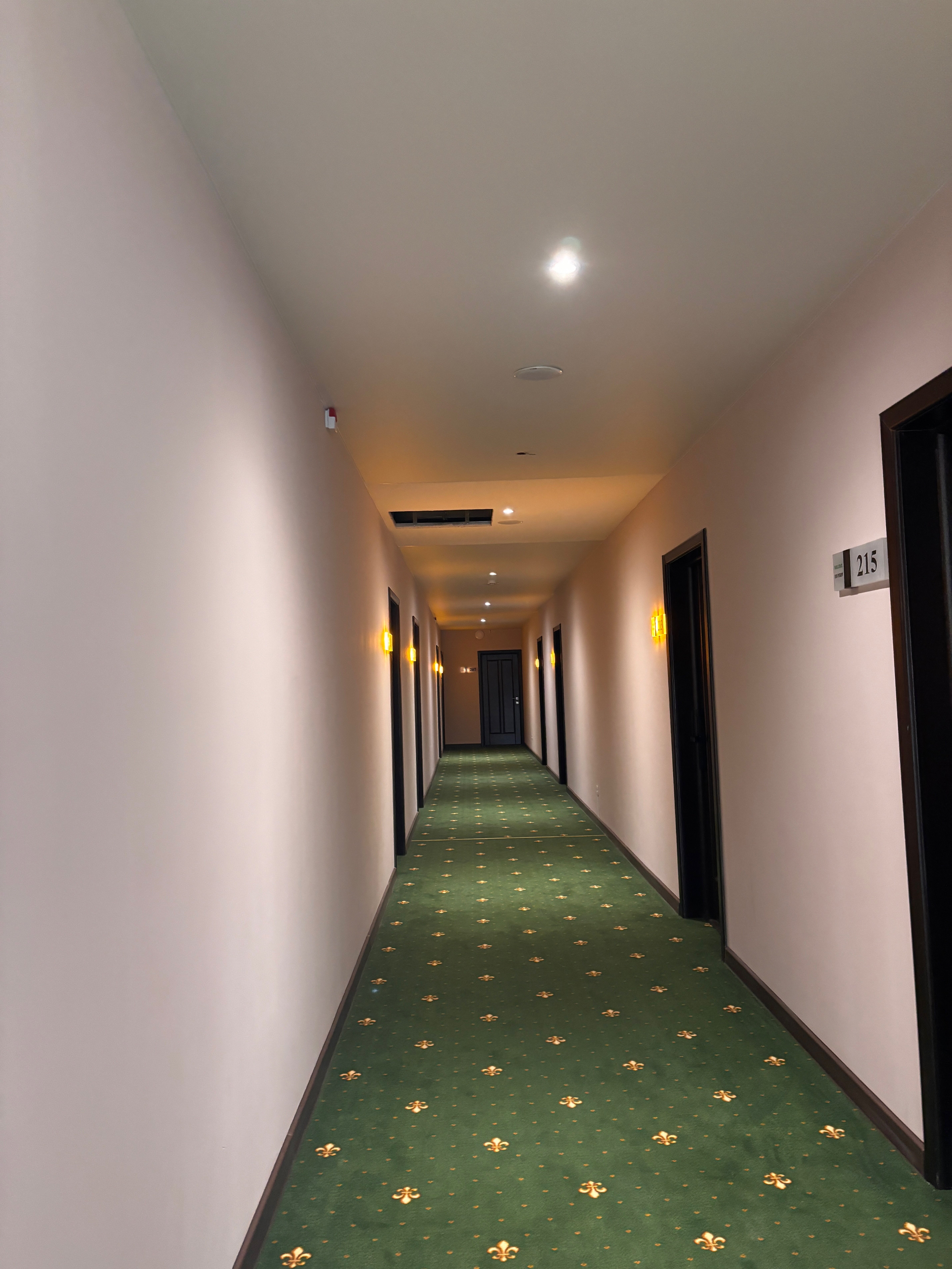 Фото HollidayInnPskov