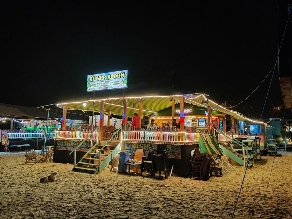 Restaurant Silver Spoon, Goa, photo