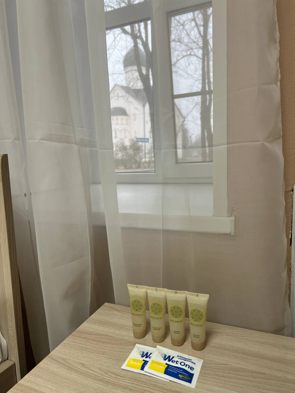 Фото Берёза