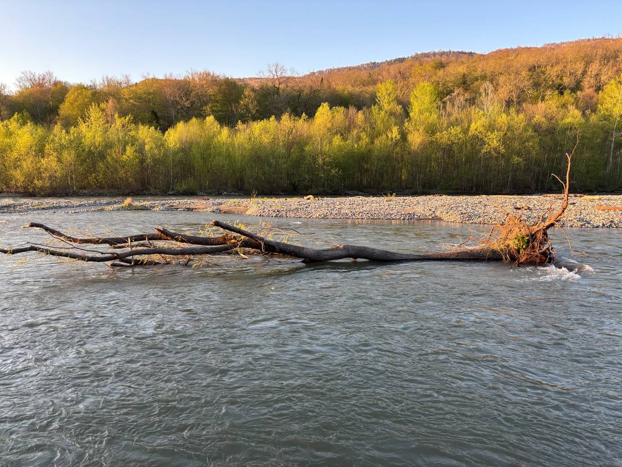 Фото Дикий дом