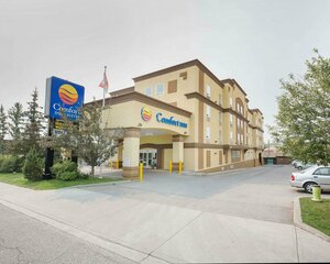 Гостиница Comfort Inn & Suites University