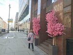 Цветомания (1st Tverskaya-Yamskaya Street, 23с1), flower shop