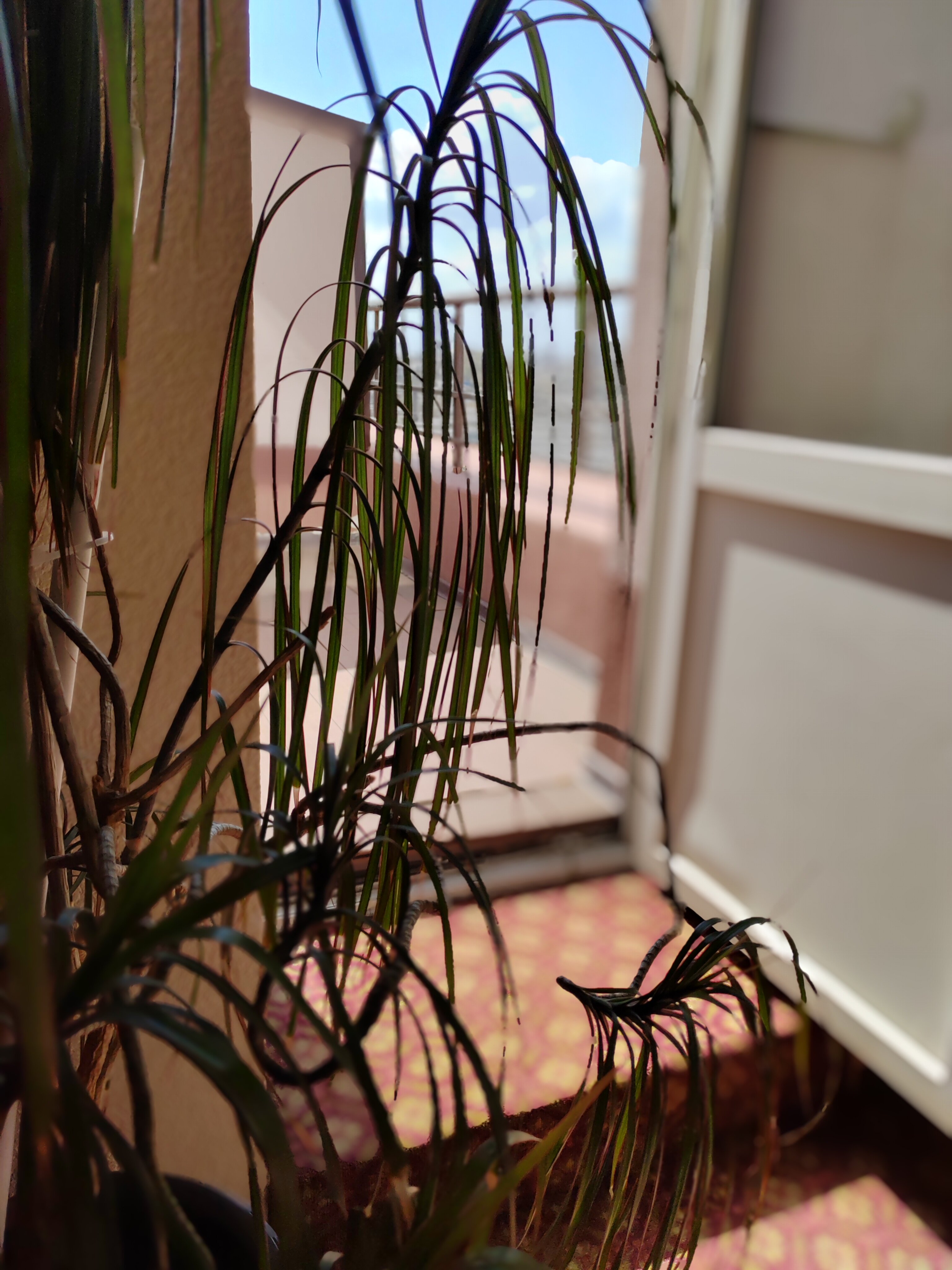 Фото Меридиан