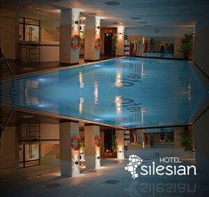 Гостиница Economy Silesian Hotel