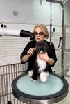 AnimalSpa (kottedzhny posyolok Knyazhye Ozero, 711), pet salon