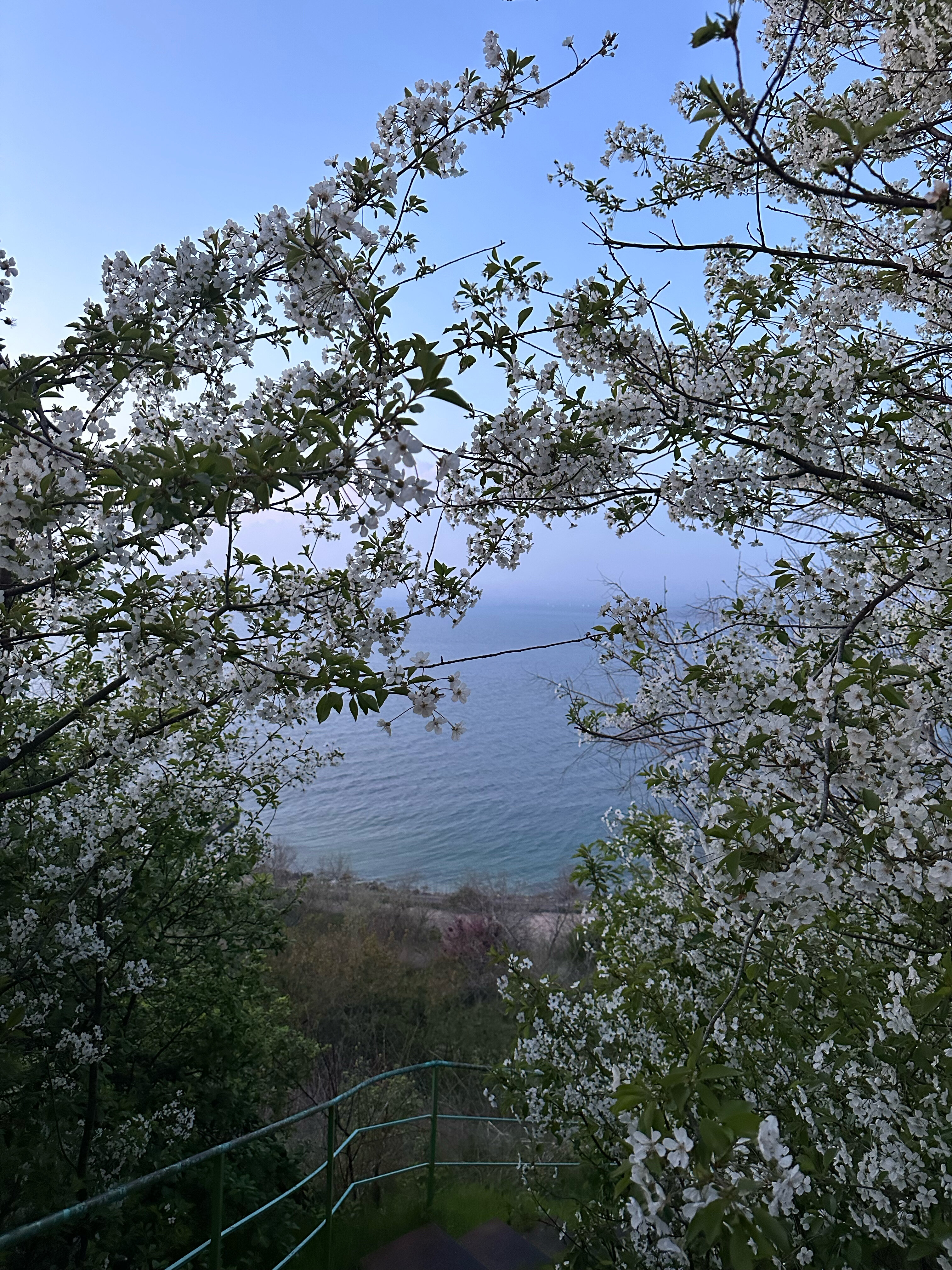 Фото Na Reydovoy