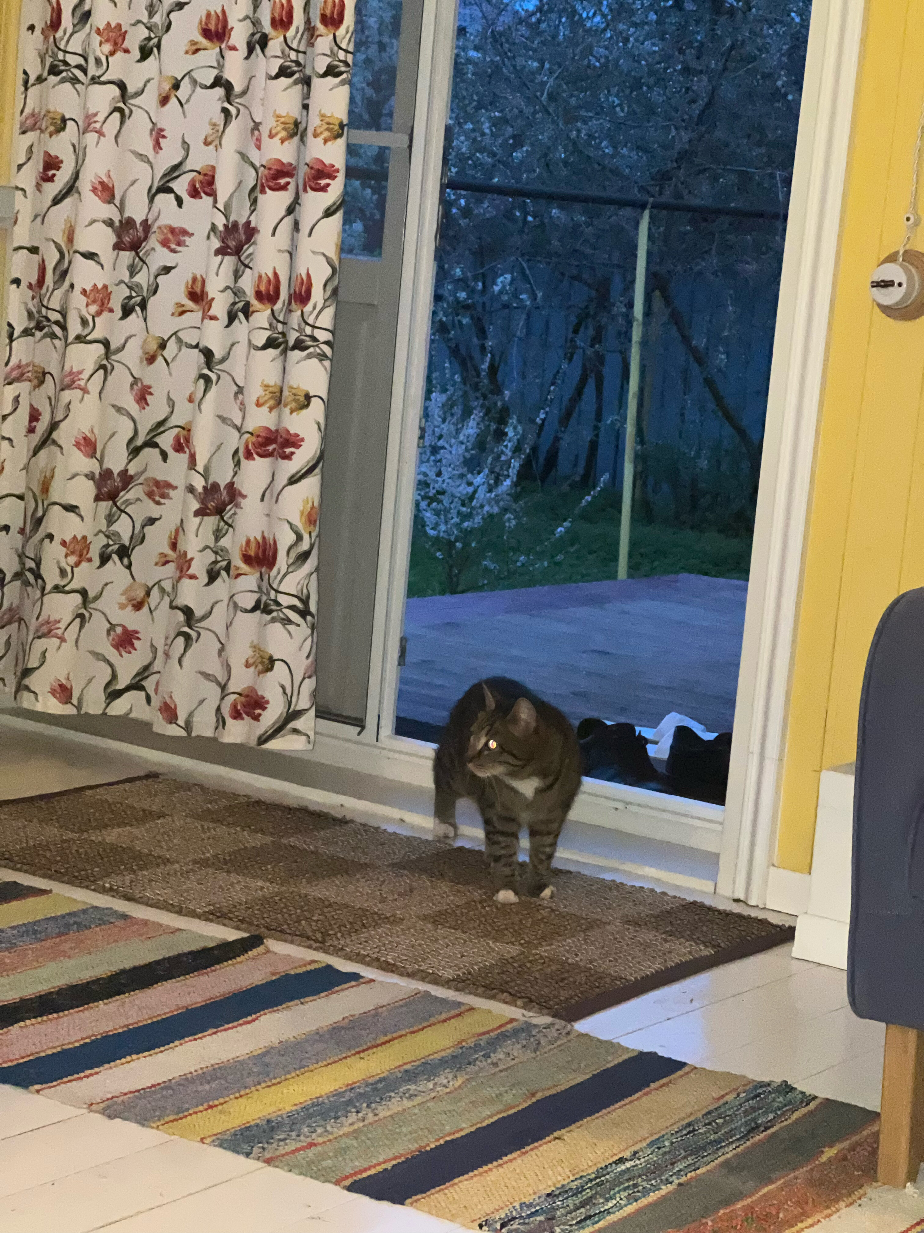 Фото Дымов Дача - Желтый Дом