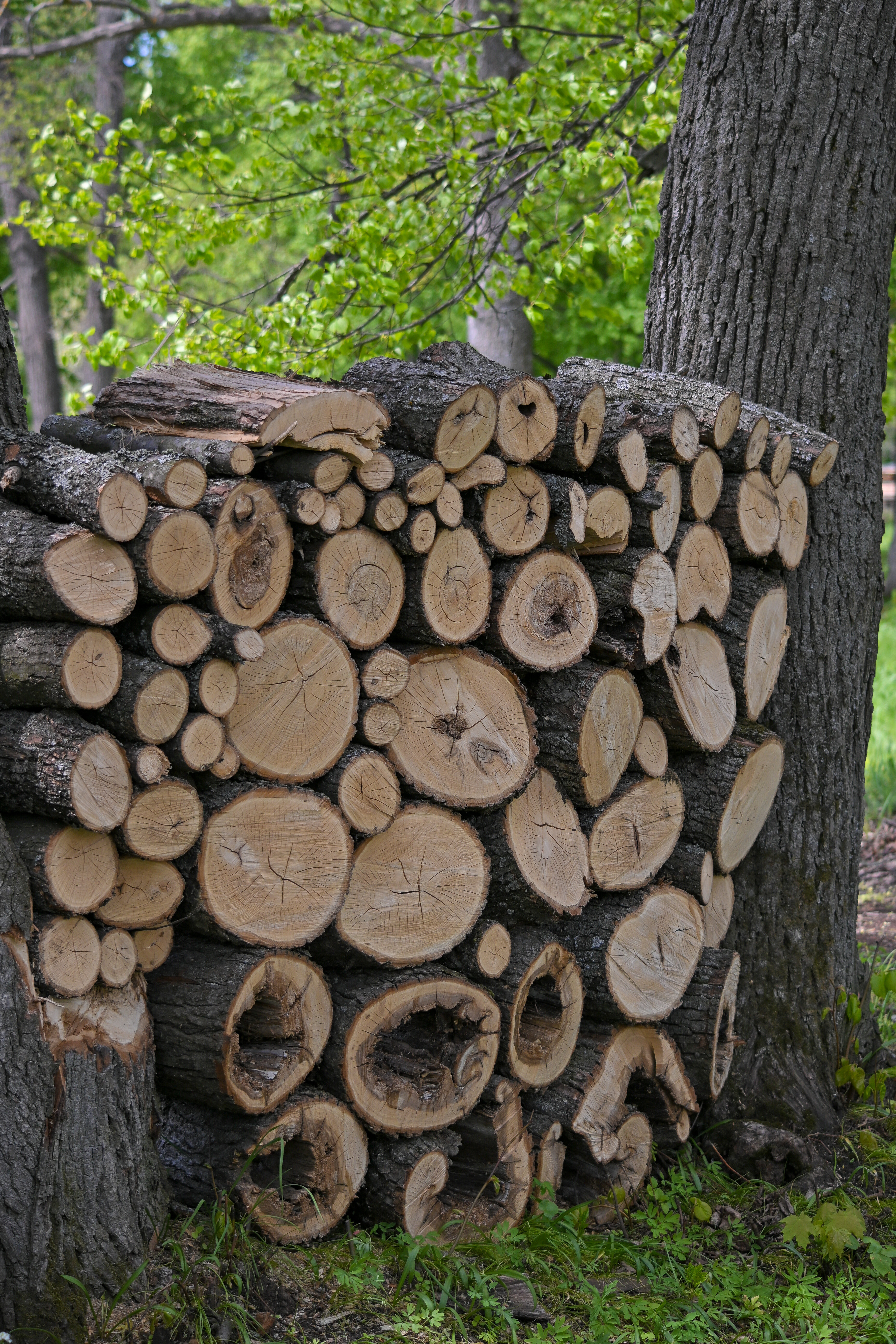 Фото Усадьба Ведрова