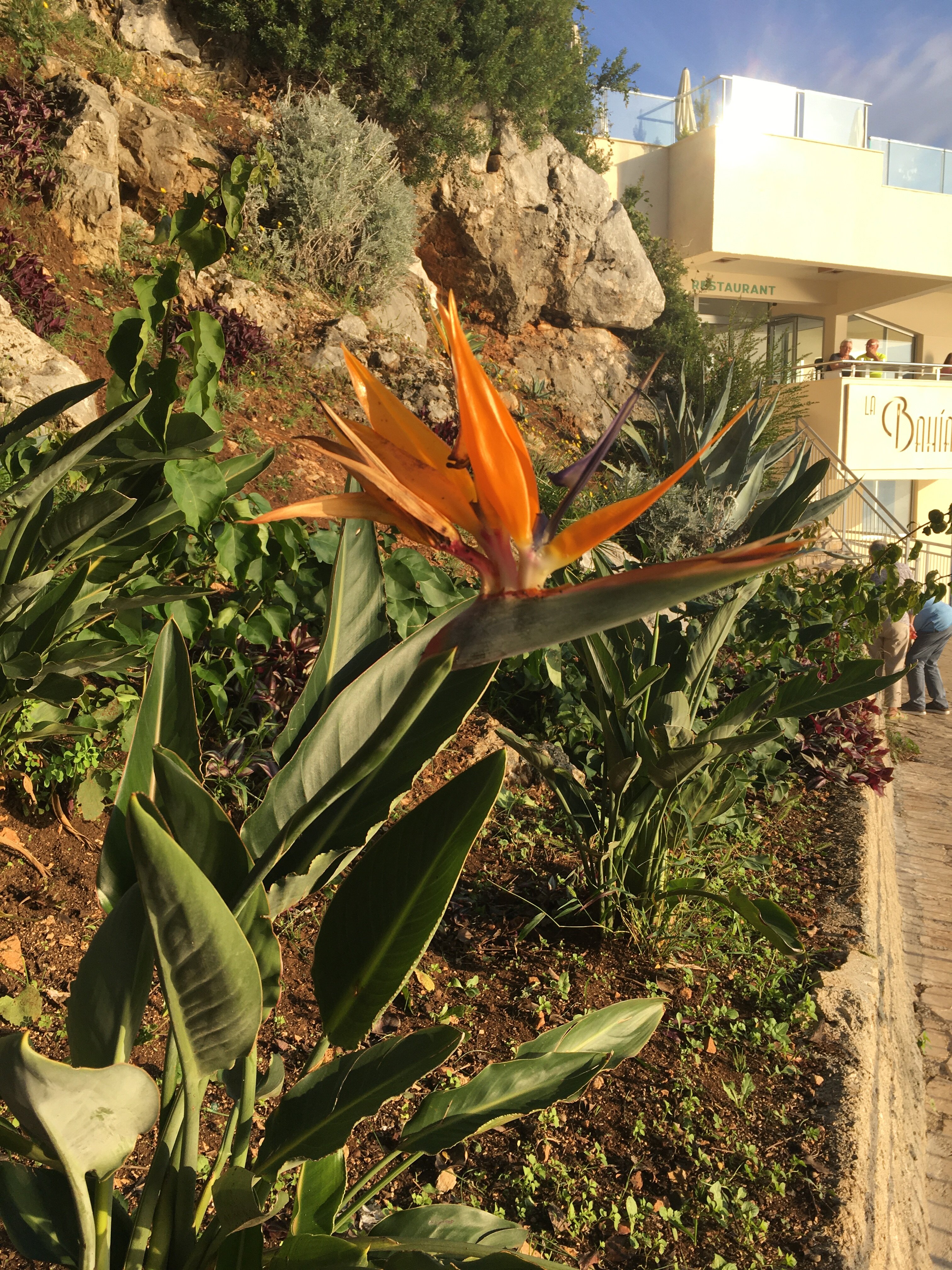 Фото Iberostar Waves Herceg Novi