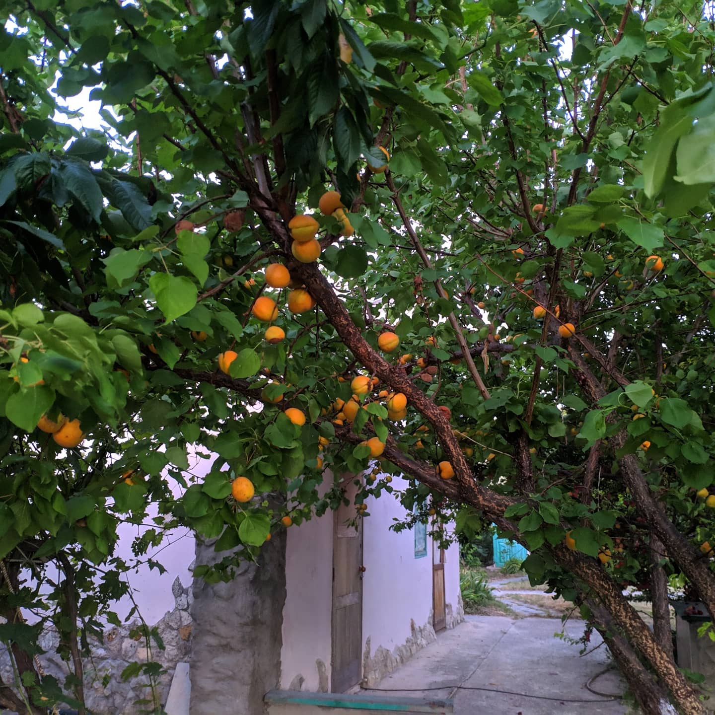 Фото Усадьба Отрада