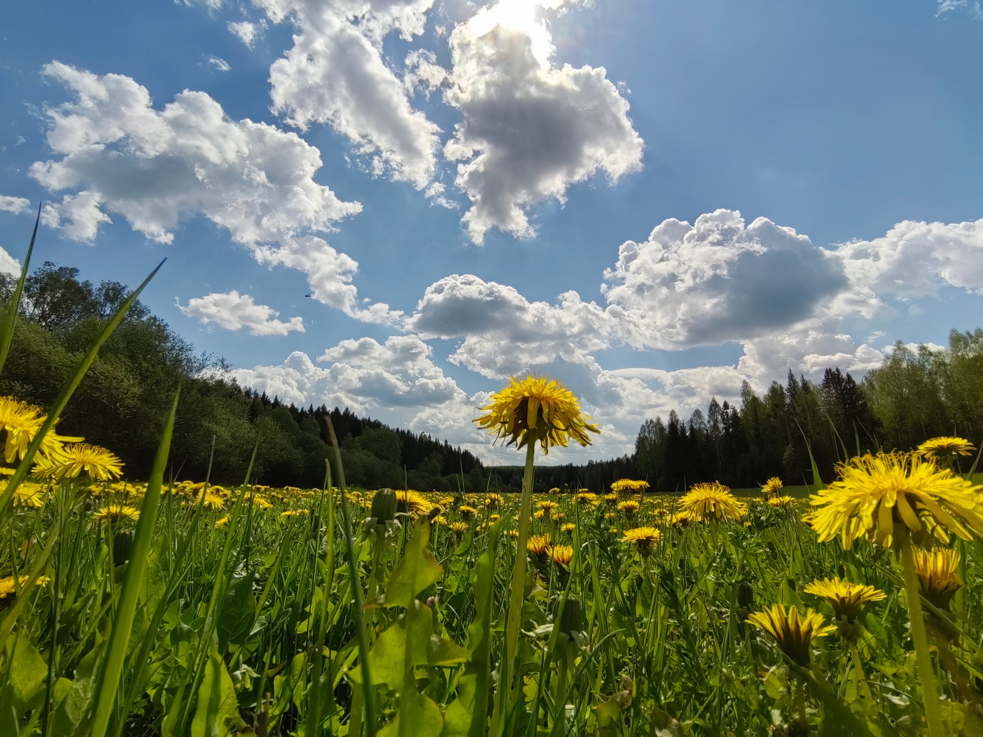 Фото Марийская Швейцария