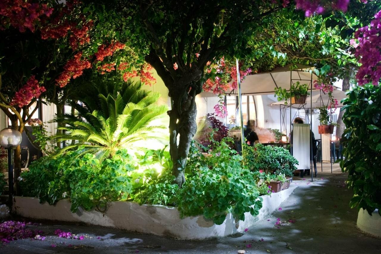 Фото Hotel Residence Nemo