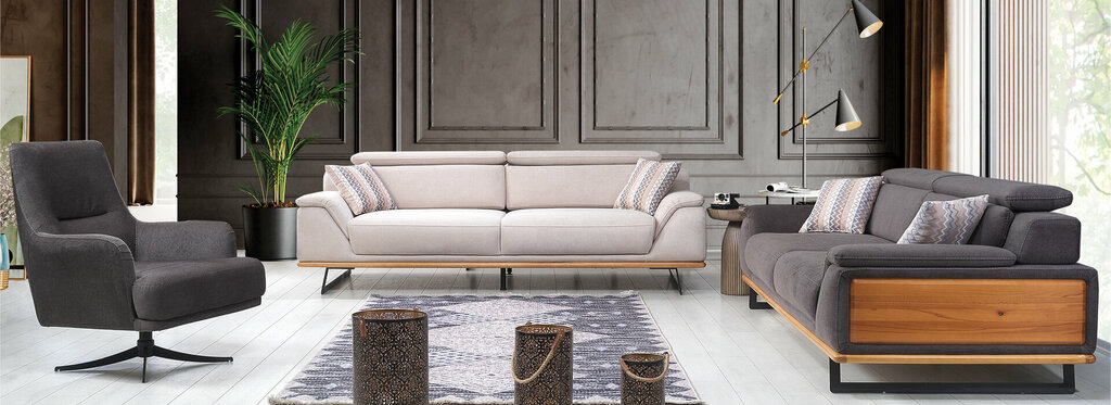 Furniture store Imran Koltuk, Izmir, photo