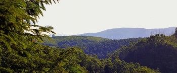 Фото Tanamera Lodge