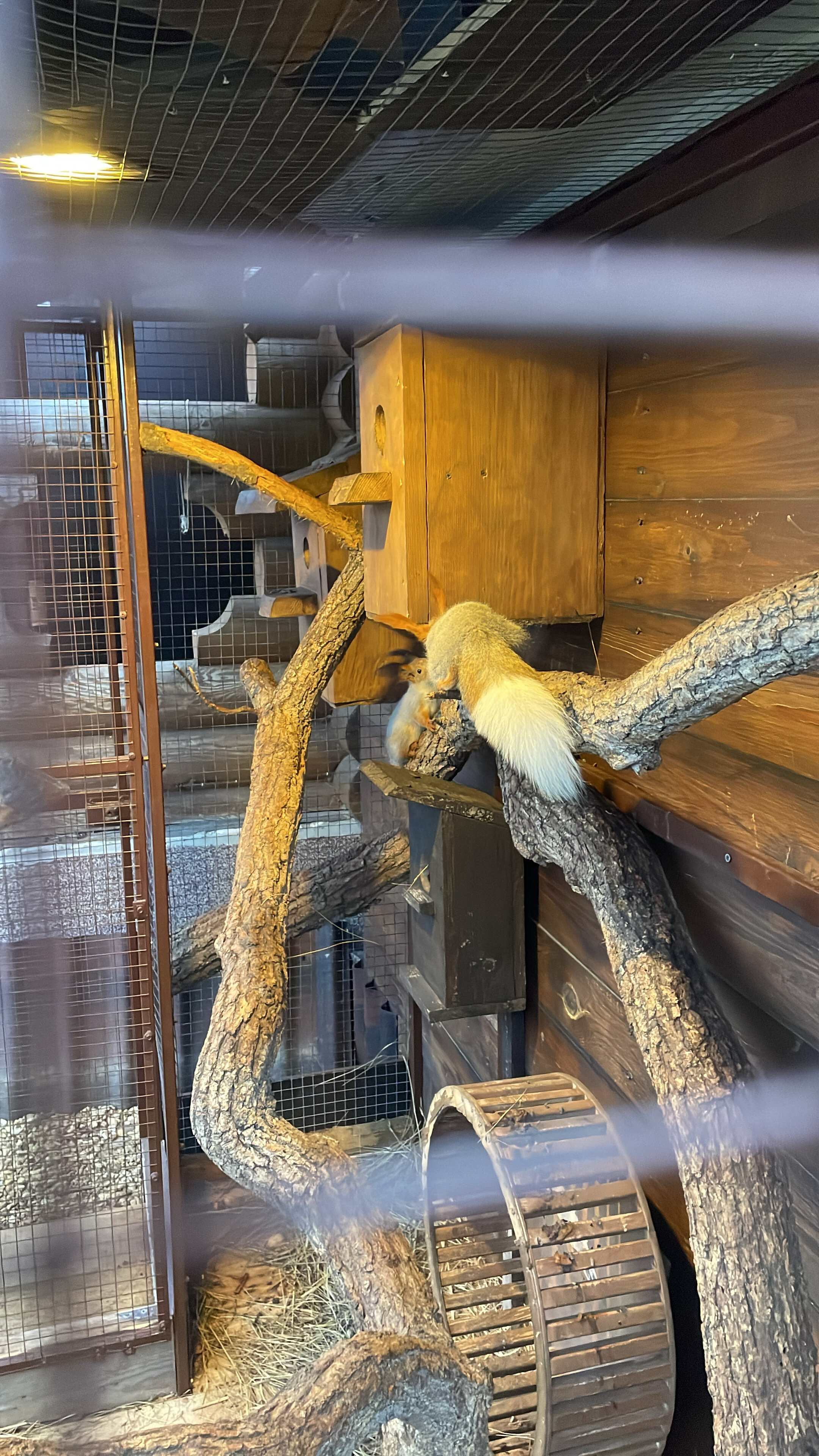 Фото Речной клуб Дом Охотника