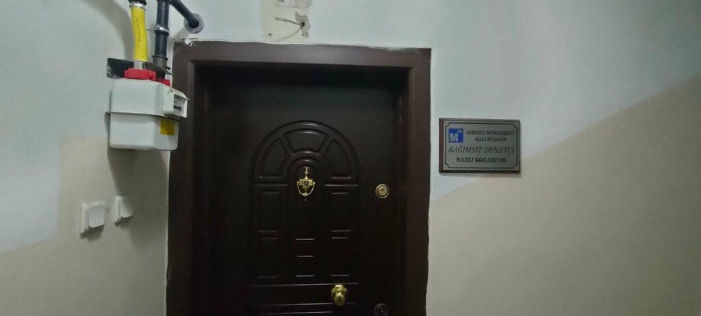 Tax consultants Independent Accountant Financial Advisor Independent Auditor Nazli Kocabiyik, Izmir, photo