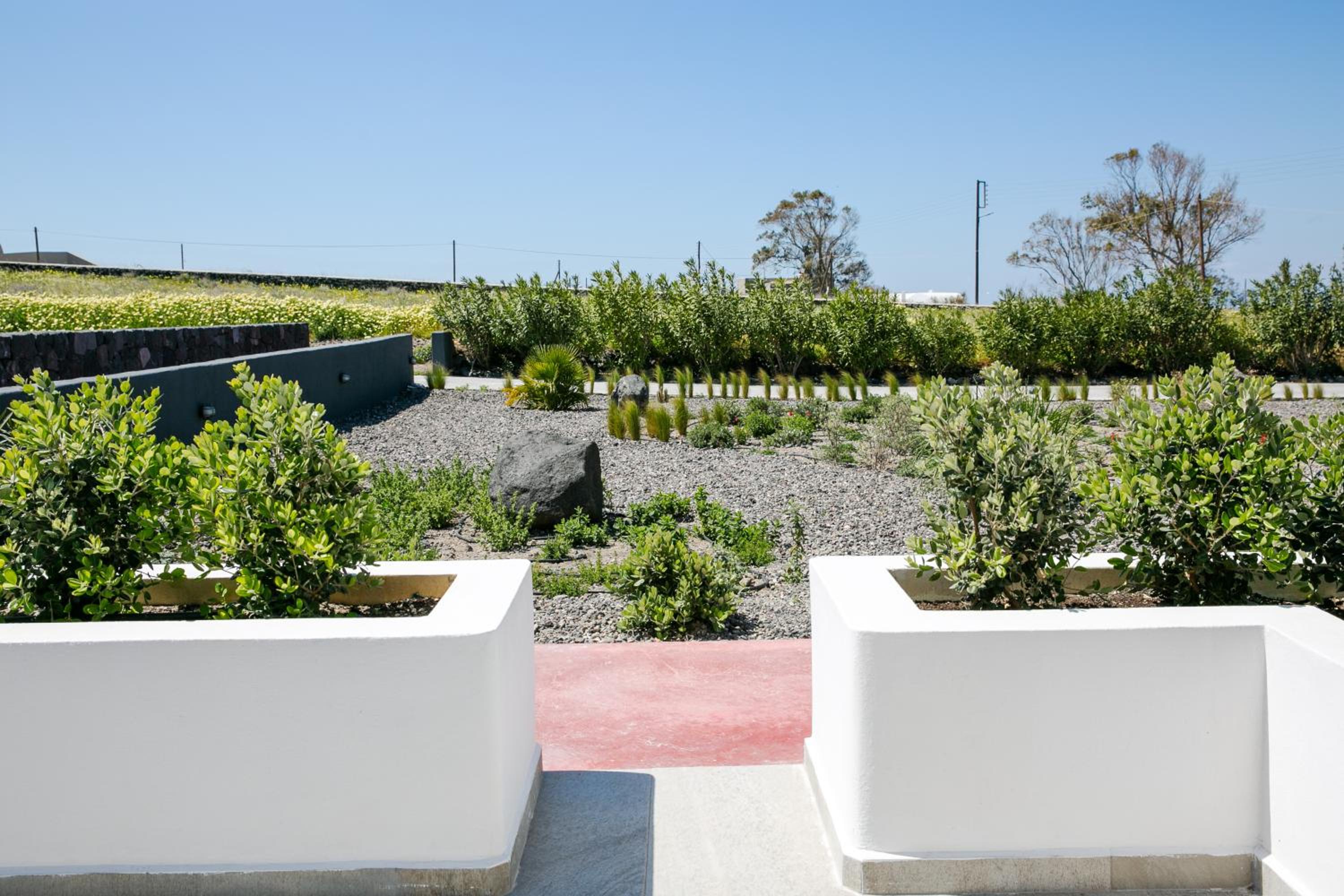 Фото Vino Houses