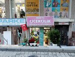 Nöbetçi Çiçekçilik (Istanbul, Gungoren, Haznedar Neighborhood, Telsiz Street, 1), flower shop