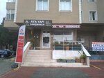 Atayapidanismanlik (İstanbul, Maltepe, Altayçeşme Mah., Şehit Emin Çölen Sok., 12B), real estate agency