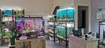 AquaFranz (улица Вакуленчука, 53/5), tienda de animales