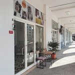 Capili Pet Groomer (Istanbul, Buyukcekmece, Fatih Neighborhood, Cengiz Topel Avenue, 79), pet shop