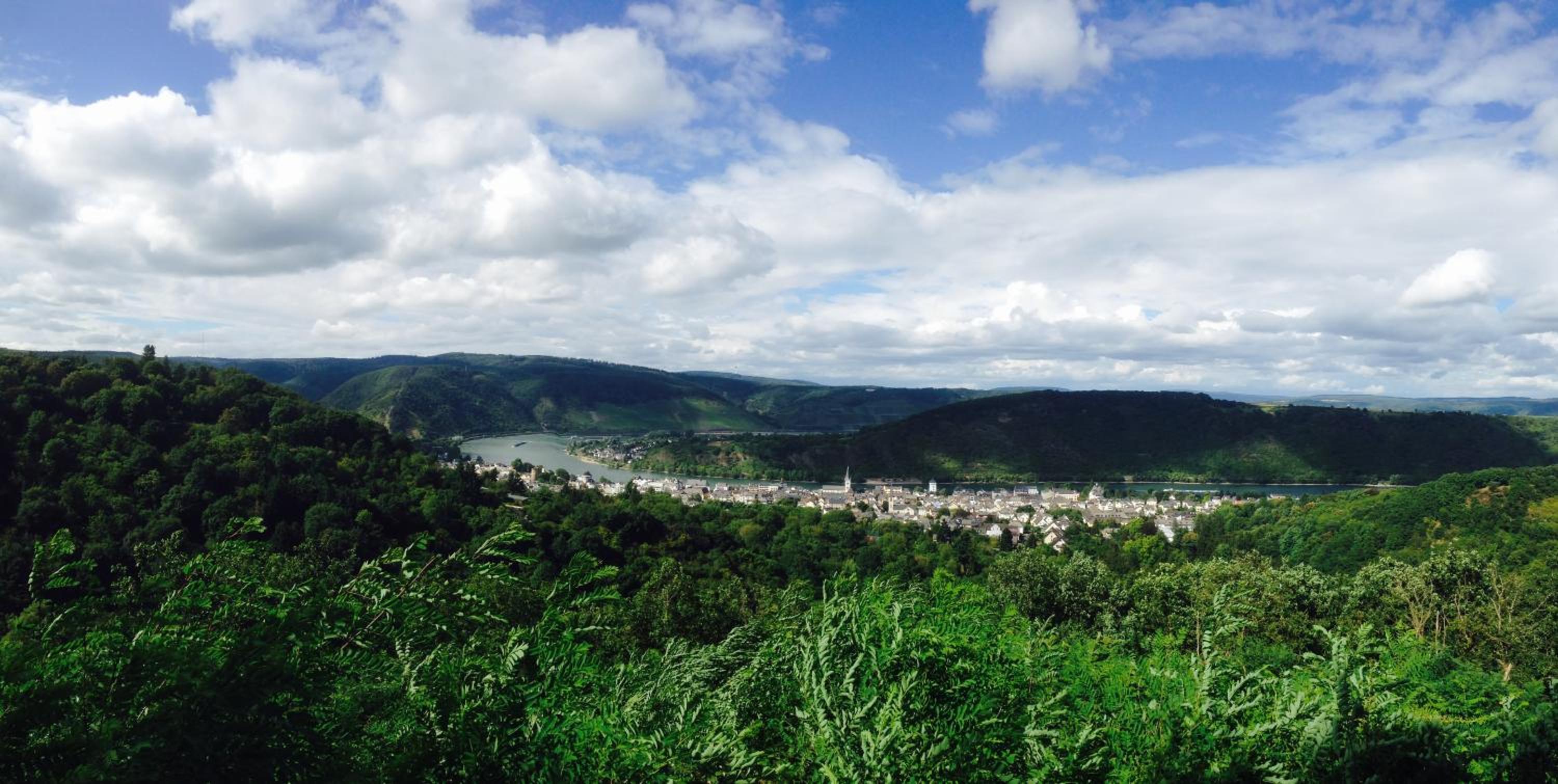 Фото Rheinhotel Lilie