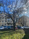 Хостел Пегас (улица Толстого, 19), hostel
