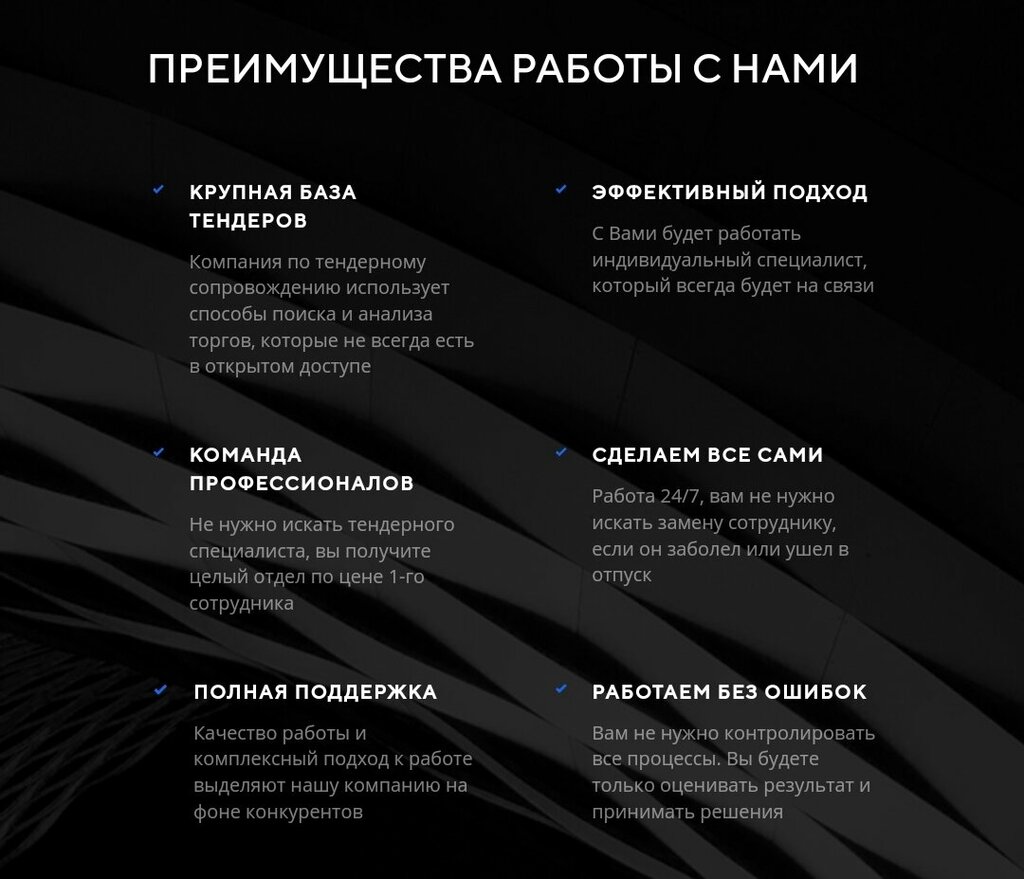 Organization of auctions and tenders Tender Bon, Rostov‑na‑Donu, photo
