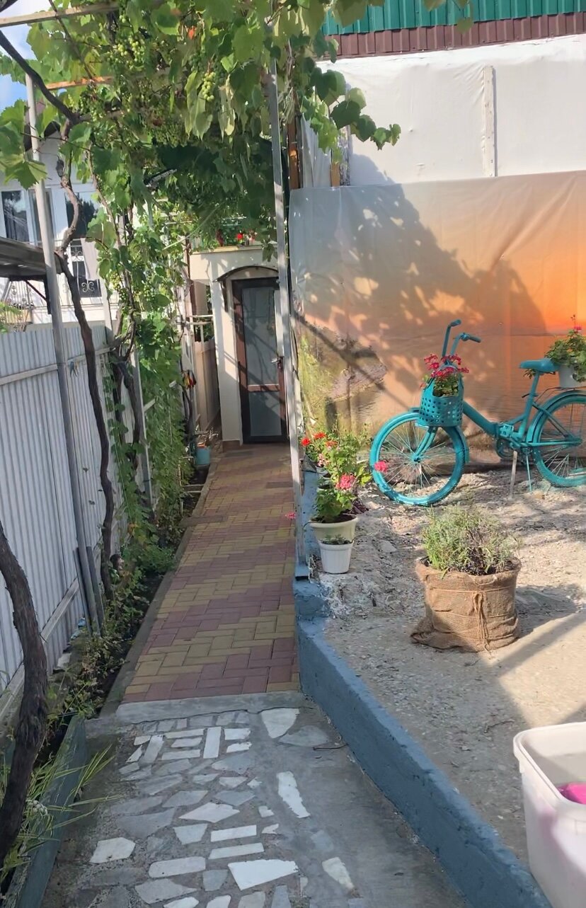 Фото Морская звезда