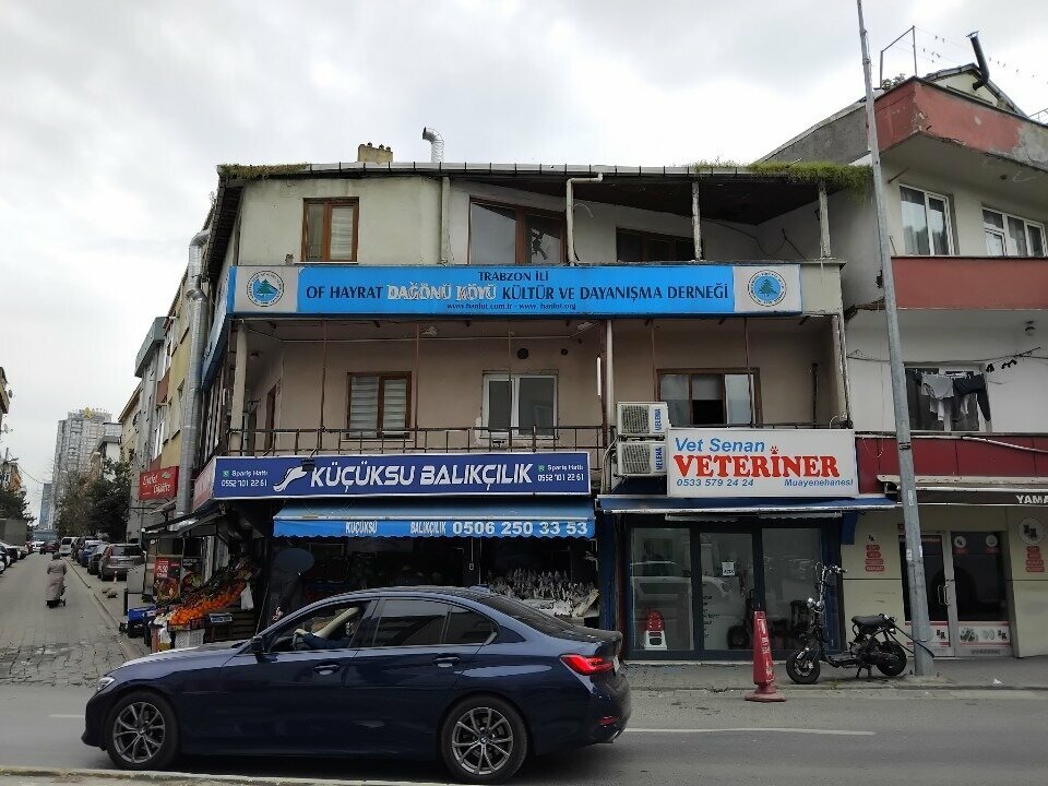 Community organization Trabzon Province Of Hayrat Dagonu Village Culture and Solidarity Association, Istanbul, photo