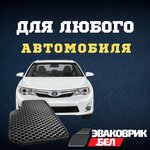 Эваковрик. Бел (Kalinina Lane, 16), tienda de repuestos y artículos para automóviles