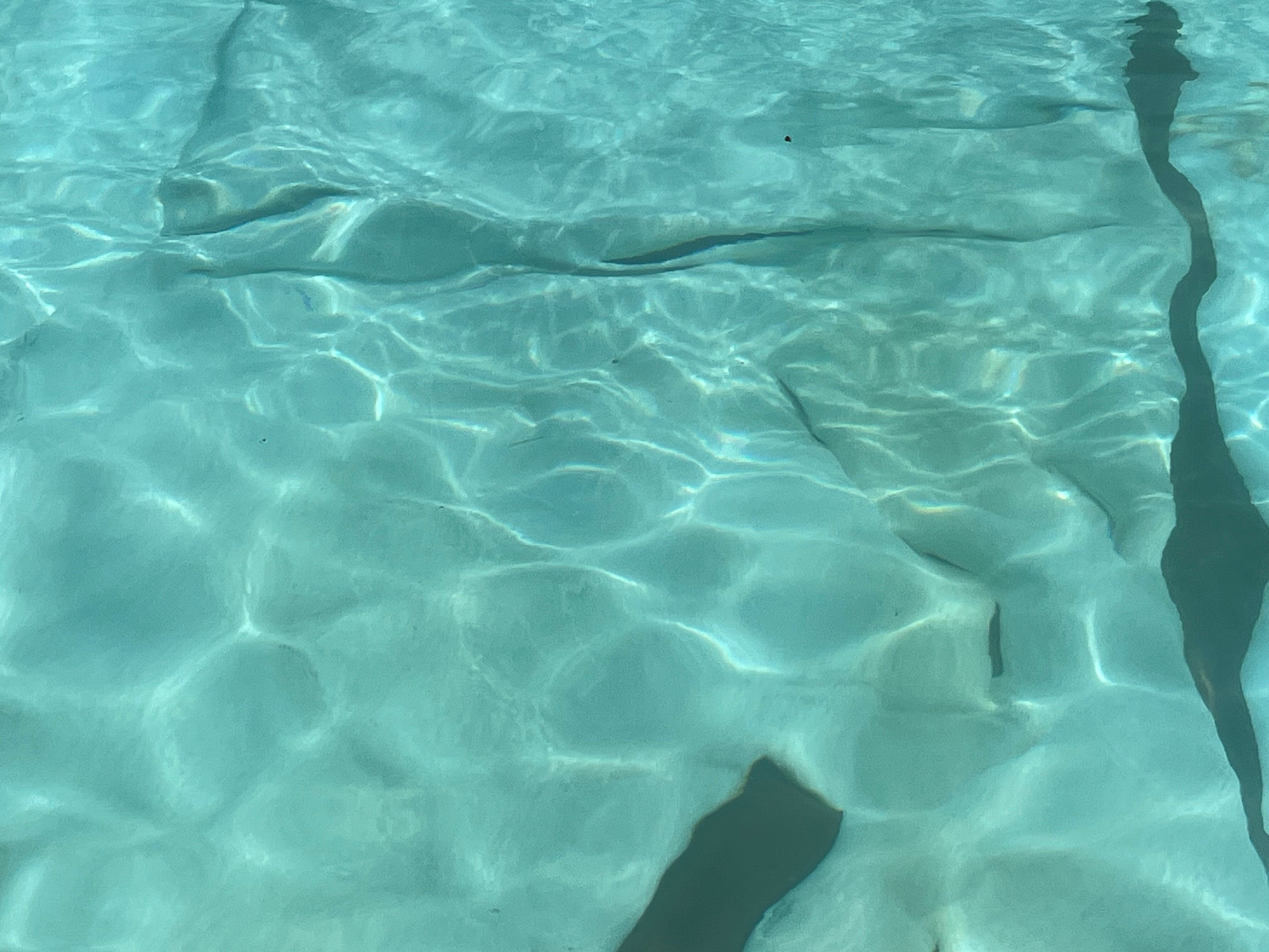 Фото La Rosa Waves Resort